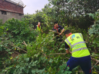 1655776515570730.png 溫度與力度的較量.png